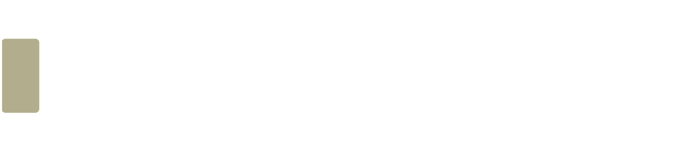 Polirobot