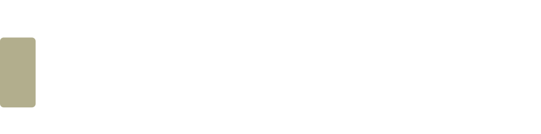 Polirobot